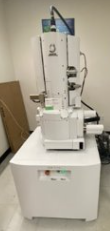 JSM-F100 SEM